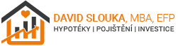 David slouka logo